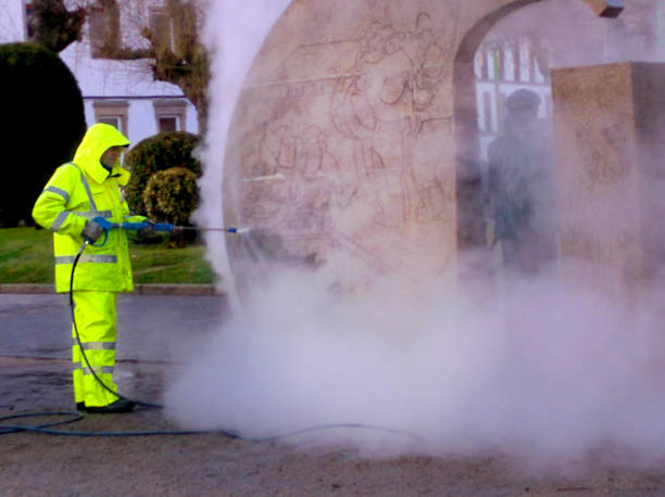 Best Roof Pressure Washing  in Crosby, MN