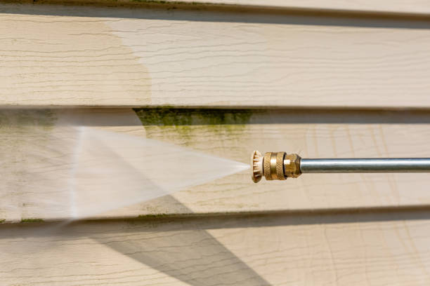 Best Exterior Home Cleaning  in Crosby, MN